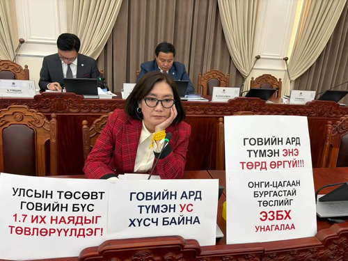 ЧУУЛГАН: 